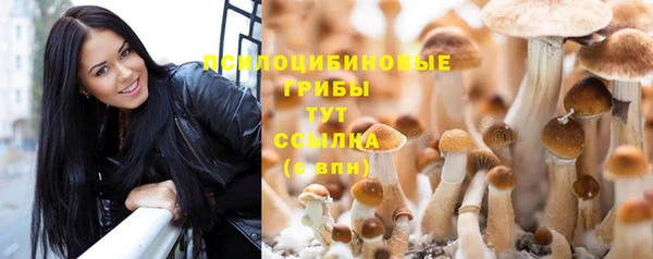 а пвп мука Вяземский